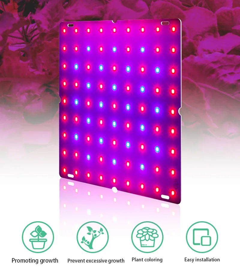 LED Plant Grow Light 1000W/2000W Full Spectrum Hydroponic