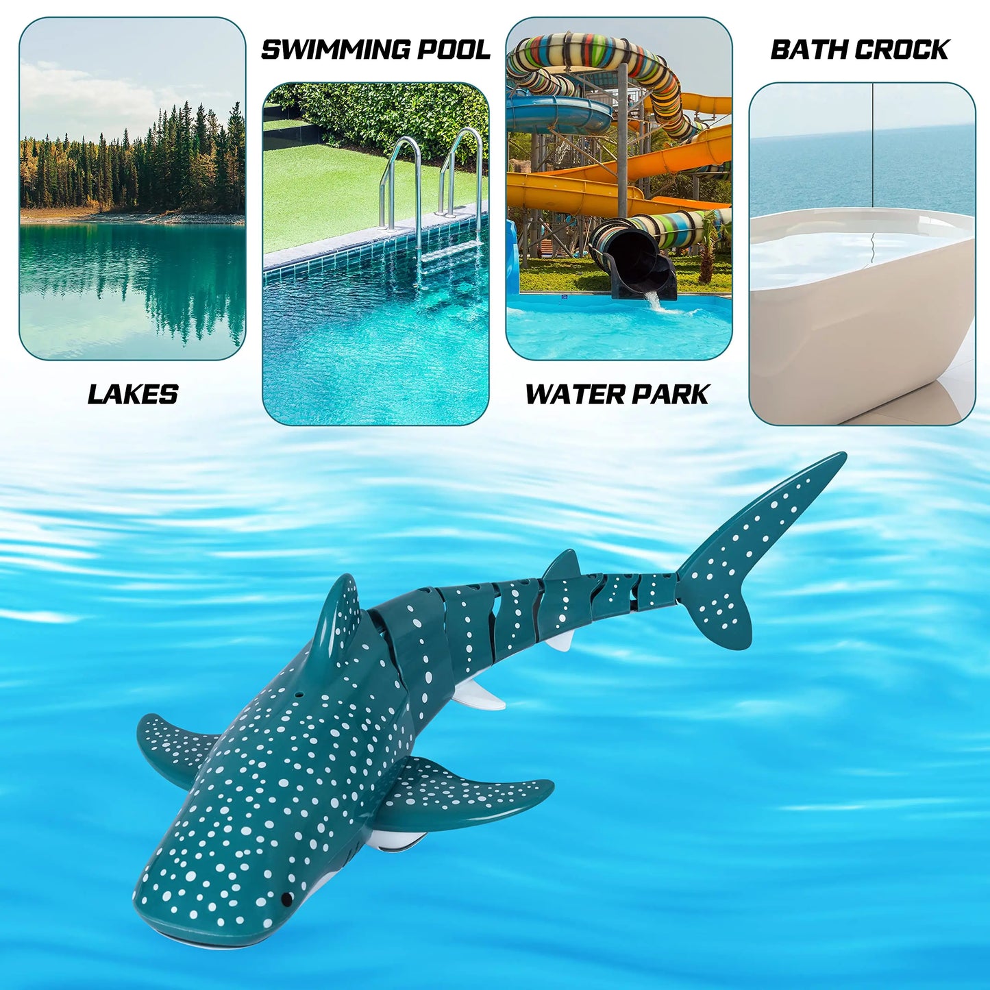 RC Shark/Whale