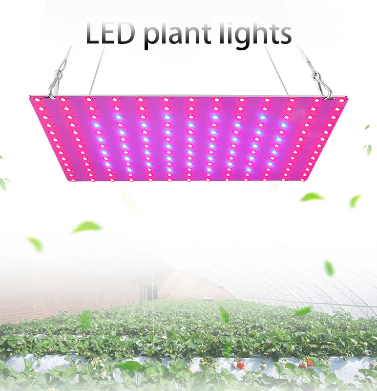 LED Plant Grow Light 1000W/2000W Full Spectrum Hydroponic