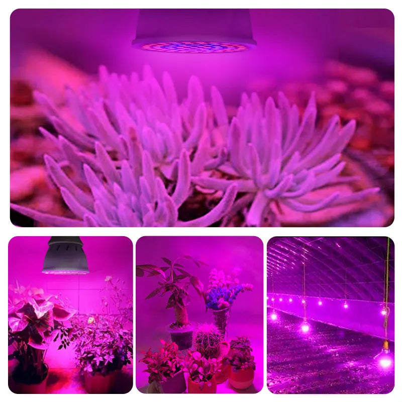 LED Grow Light E27 Full Spectrum Phyto Plant