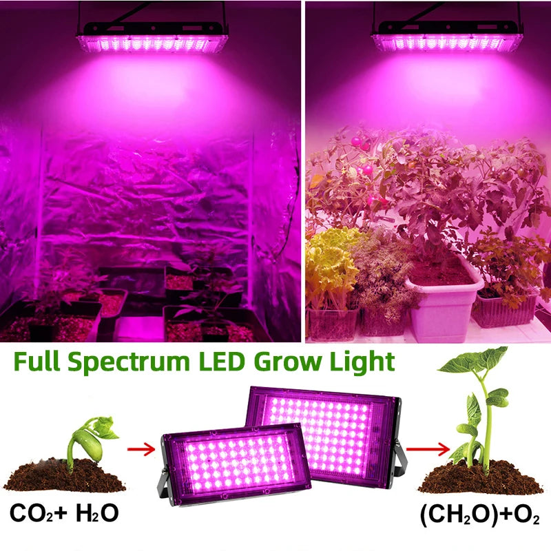 Full Spectrum LED Plant Grow Light AC220V