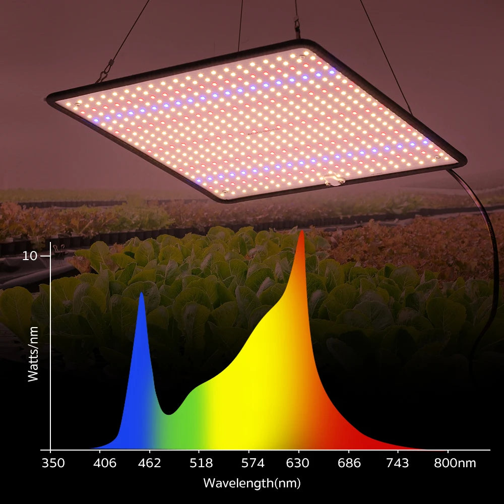 LED Grow Light Full Spectrum Phyto Lamp AC85-240V 40W