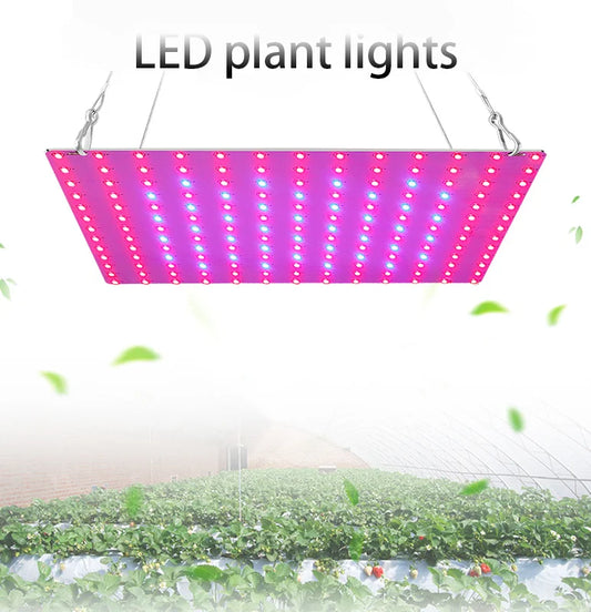 LED Plant Grow Light 1000W/2000W Full Spectrum Hydroponic