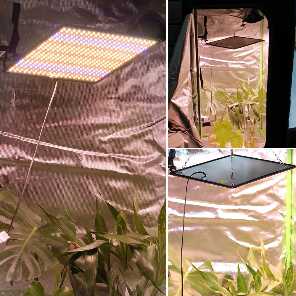 LED Grow Light Full Spectrum Phyto Lamp AC85-240V 40W