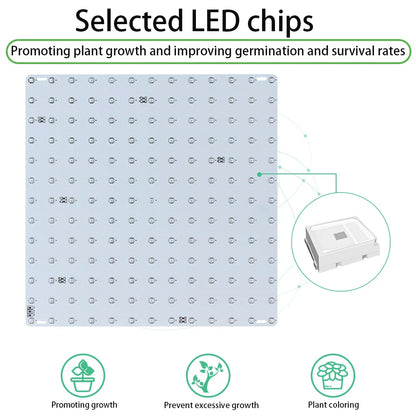LED Plant Grow Light 1000W/2000W Full Spectrum Hydroponic