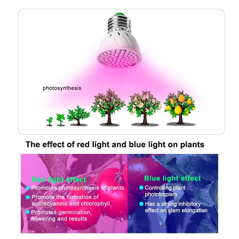 LED Grow Light E27 Full Spectrum Phyto Plant