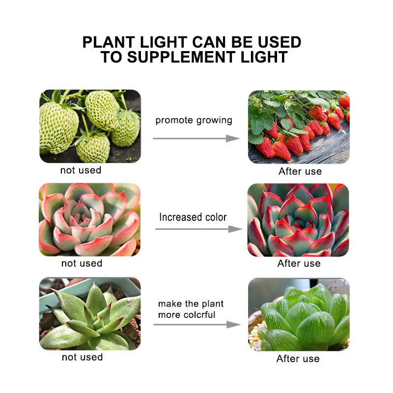 LED Grow Light E27 Full Spectrum Phyto Plant